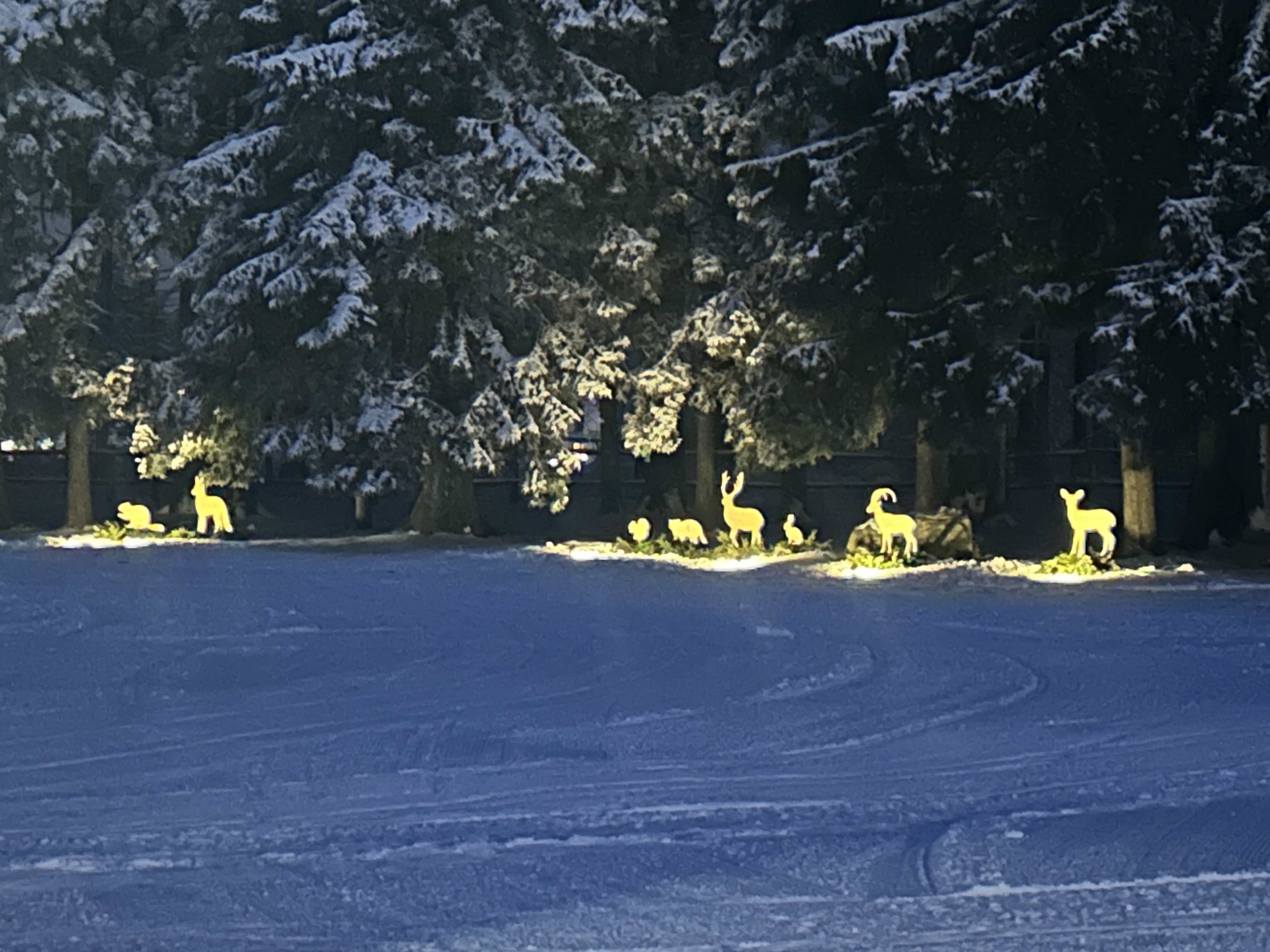 Brunos-Tierwelt-Übungsgelände-Kinderwelt