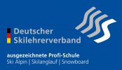 Logo Profi Skischule blau